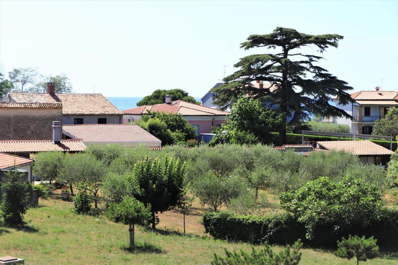 Family Rooms Moela Umag Dış mekan fotoğraf